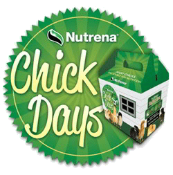 chickdays
